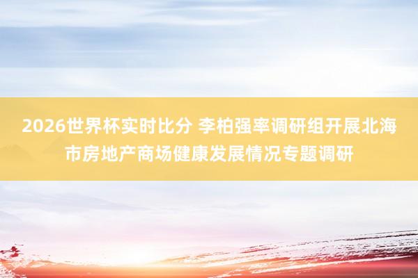 2026世界杯实时比分 李柏强率调研组开展北海市房地产商场健康发展情况专题调研