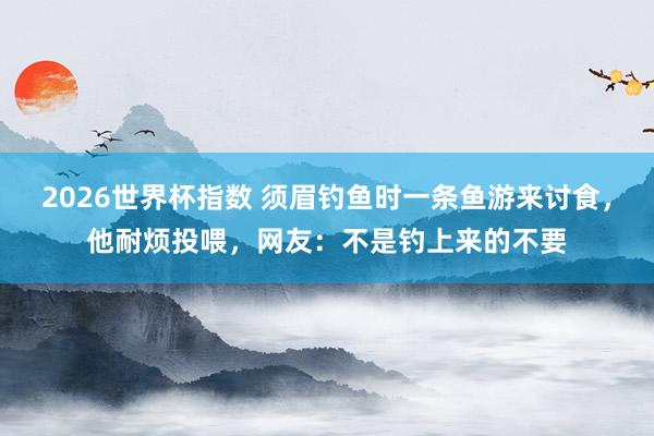 2026世界杯指数 须眉钓鱼时一条鱼游来讨食，他耐烦投喂，网友：不是钓上来的不要