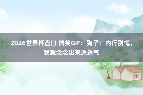 2026世界杯盘口 搞笑GIF：狗子：内行别慌，我就念念出来透透气