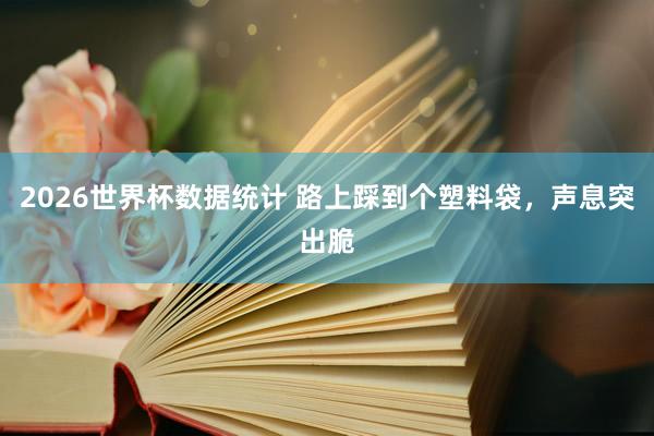2026世界杯数据统计 路上踩到个塑料袋，声息突出脆