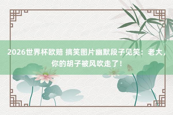 2026世界杯欧赔 搞笑图片幽默段子见笑：老大，你的胡子被风吹走了！