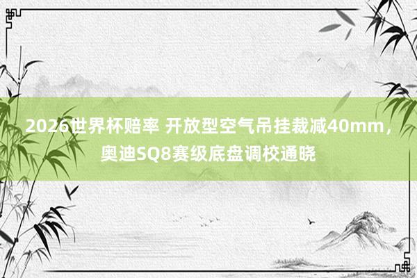 2026世界杯赔率 开放型空气吊挂裁减40mm，奥迪SQ8赛级底盘调校通晓