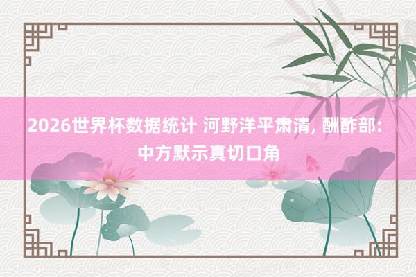 2026世界杯数据统计 河野洋平肃清, 酬酢部: 中方默示真切口角