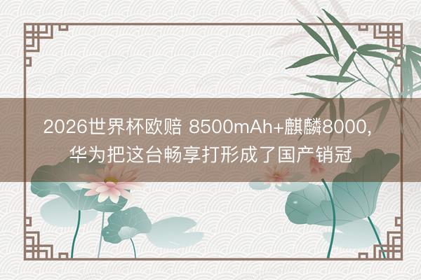 2026世界杯欧赔 8500mAh+麒麟8000, 华为把这台畅享打形成了国产销冠