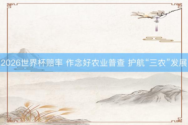 2026世界杯赔率 作念好农业普查 护航“三农”发展